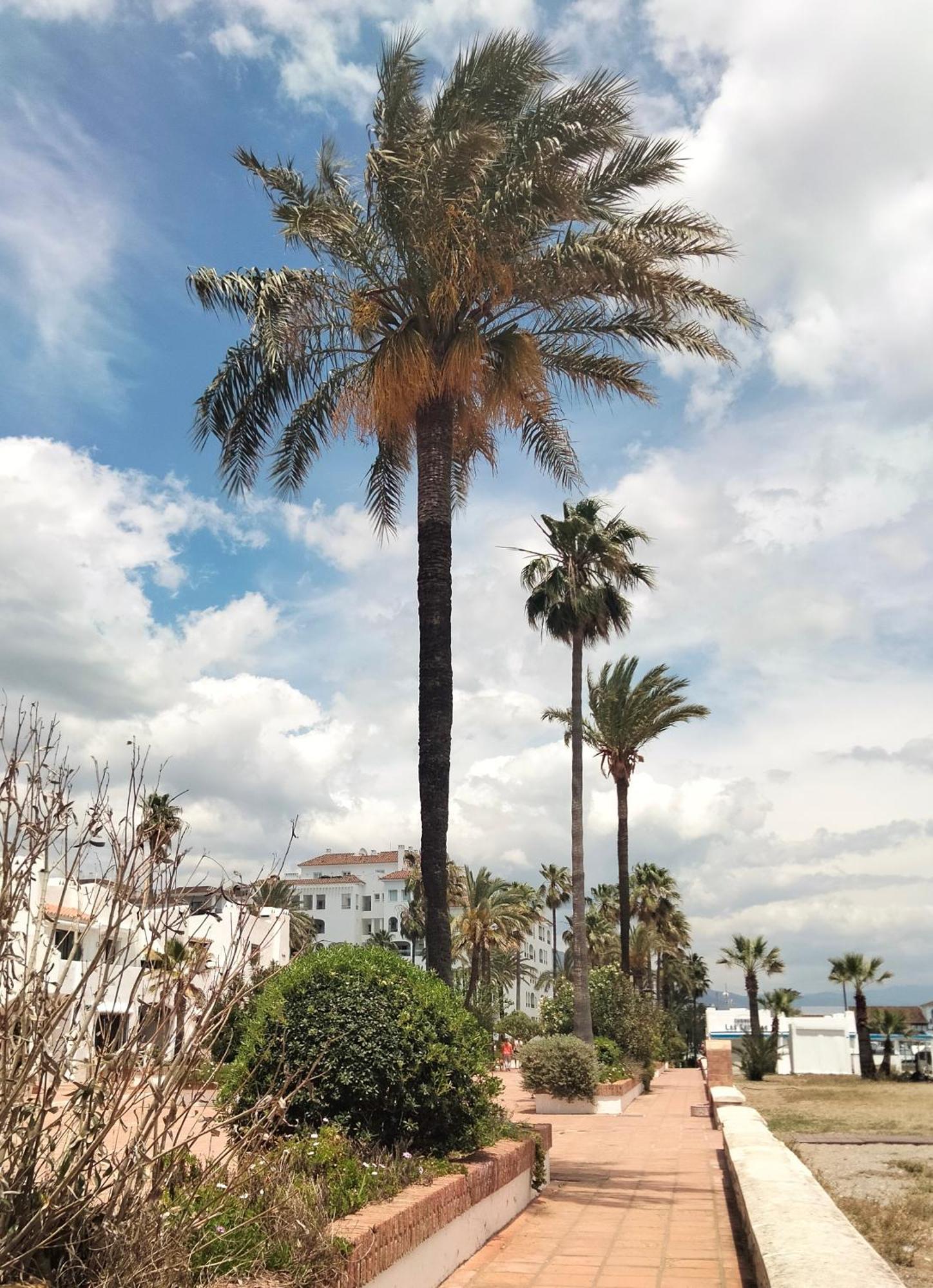 מנילבה Apartamento Primera Linea De Playa מראה חיצוני תמונה