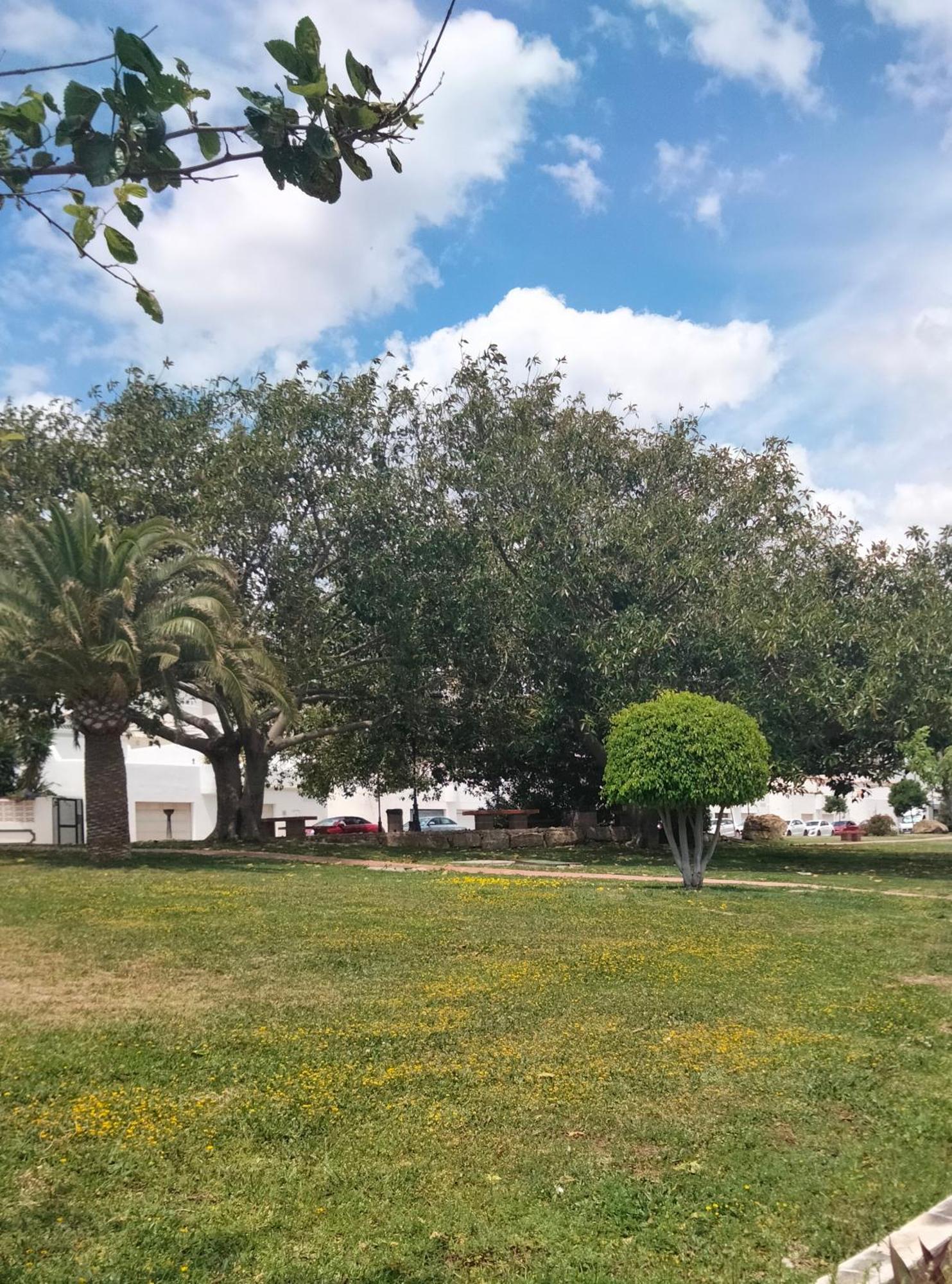 מנילבה Apartamento Primera Linea De Playa מראה חיצוני תמונה